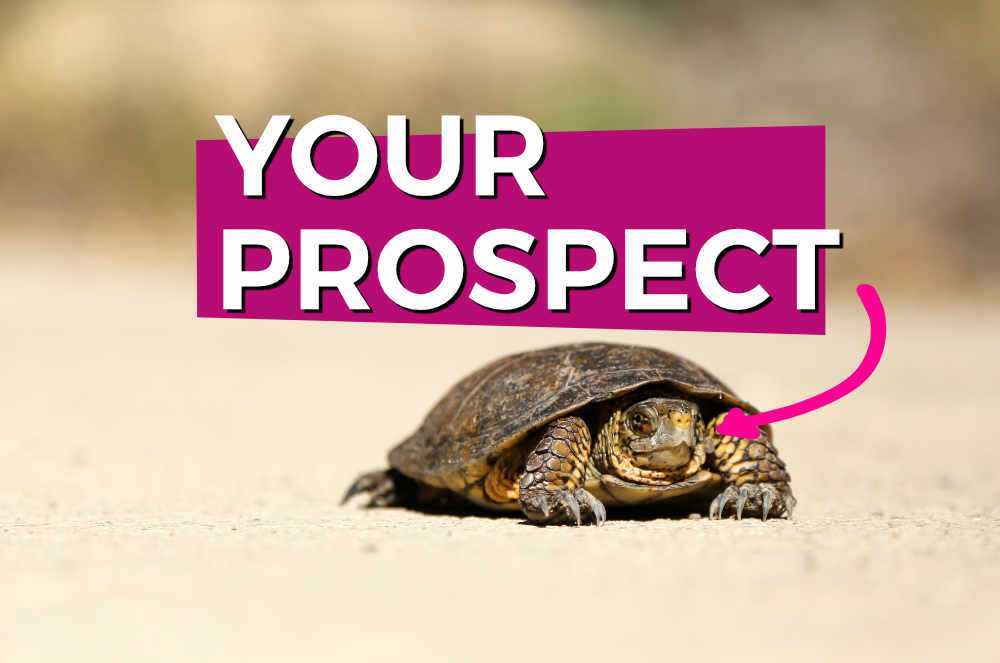 How to Get Freelance Web Development Prospects to Hurry Up! featured image